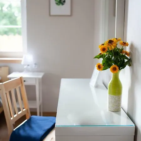 Ferienwohnung Mazurska Gajowka Ruciane-Nida Exterior foto